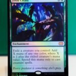 Food Chain #147 - 2X2