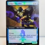 Ledger Shredder #412 - SNC