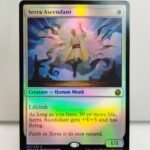 Serra Ascendant #31 - IMA